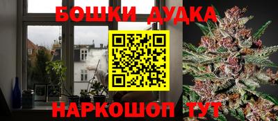 крисы Заводоуковск
