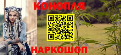 крисы Заводоуковск