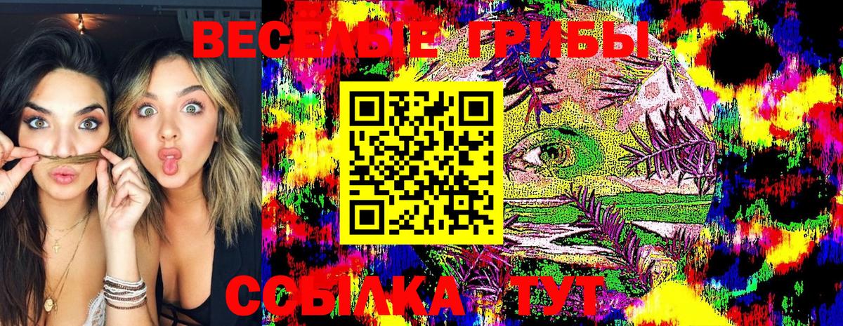 Галлюциногенные грибы GOLDEN TEACHER Междуреченск