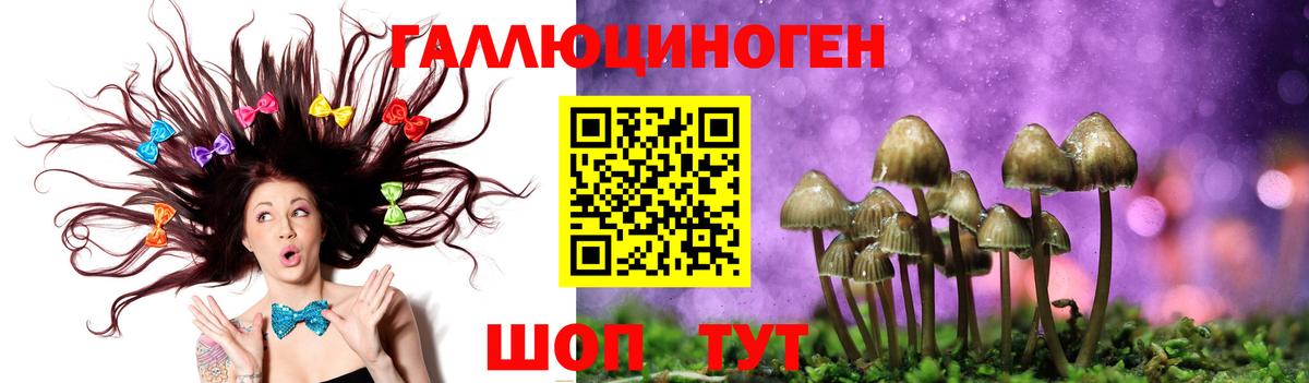 Псилоцибиновые грибы MAGIC MUSHROOMS  Галлюциногенные грибы MAGIC MUSHROOMS  Междуреченск  Вход с VPN 